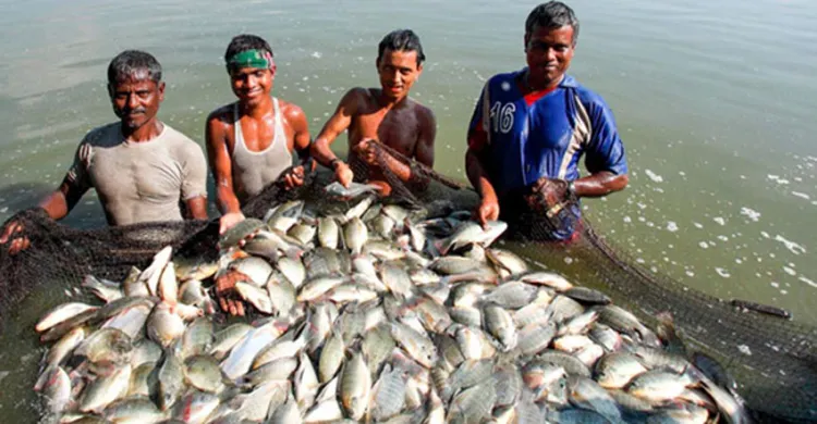 Rasiya Fisheries Pond